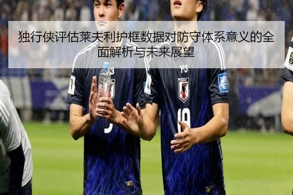 独行侠评估莱夫利护框数据对防守体系意义的全面解析与未来展望